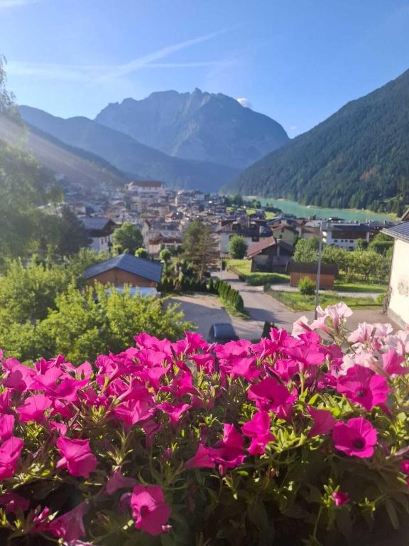 Mansarda Belvedere - B&B Auronzo di Cadore