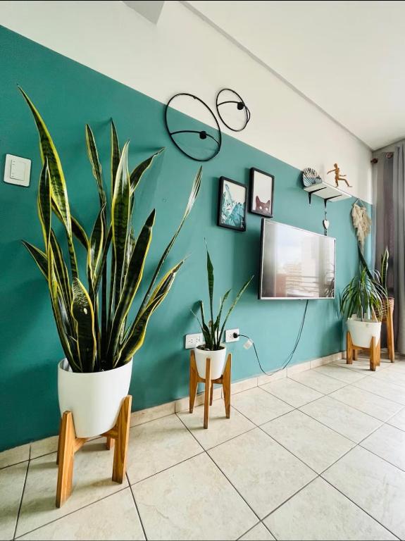 Altos de Barrio Sur - B&B San Miguel de Tucumán