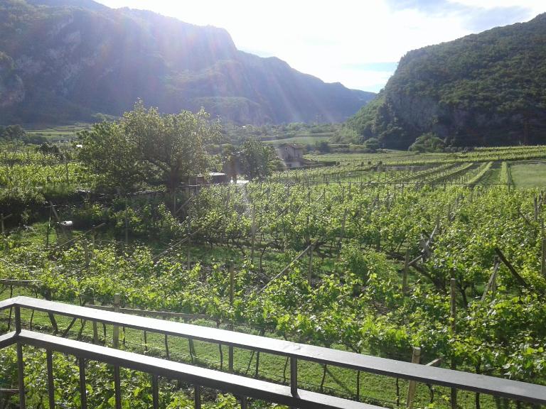 La Masera Holiday - Oliveto - B&B Nago-Torbole