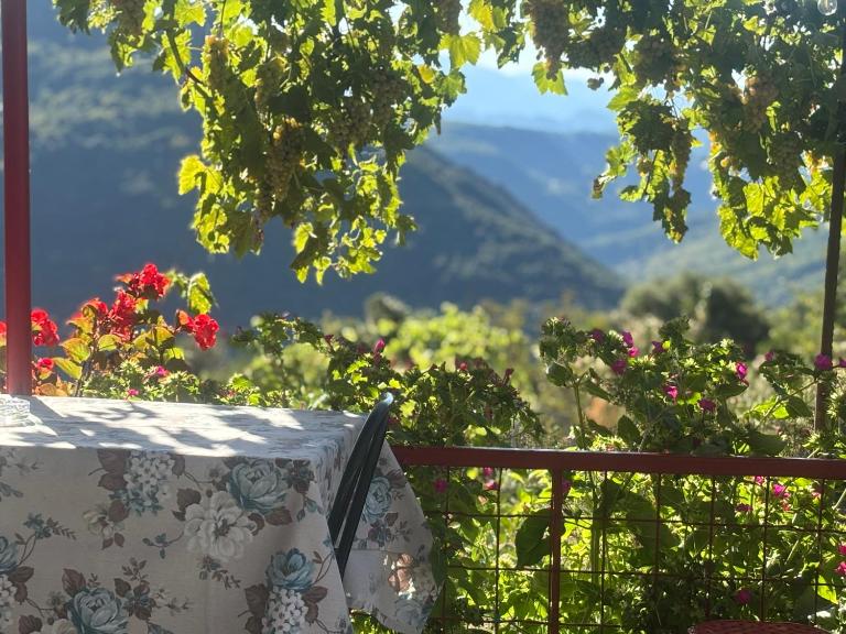 Georgaras Accommodation - B&B Platanoússa