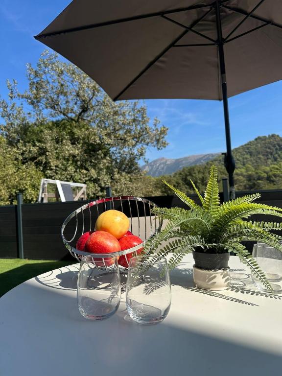 Logement dans un centre équestre - Bed and Breakfast Contes