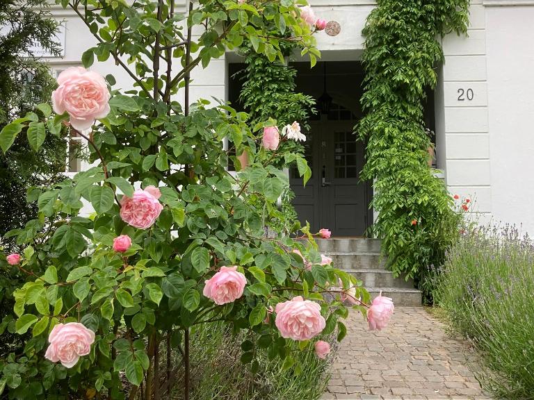 B&B Österlens RosenTrädgård - Ferienwohnung Glemmingebro