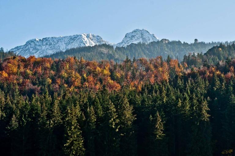 Willa Na Potoku - B&B Zakopane