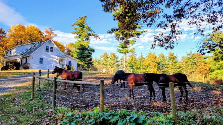 The Suite at Liberty Woods - B&B Belchertown