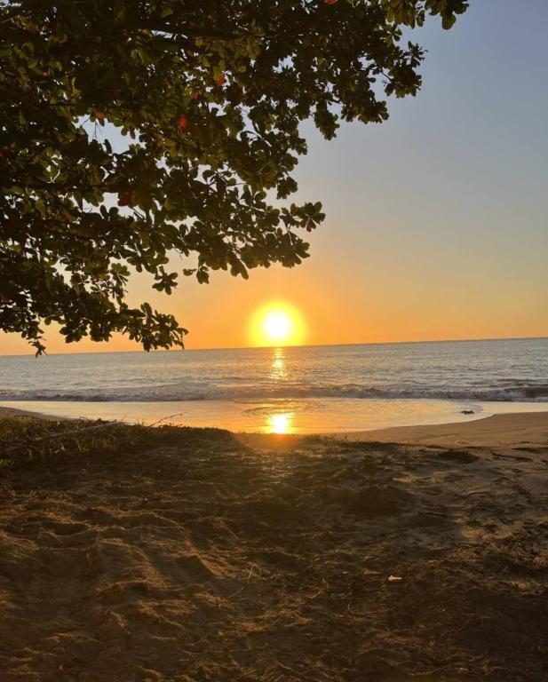 Oceanfront 5BR Oasis w Decks & Direct Beach Access - Chambres d'hôtes Mayaguez
