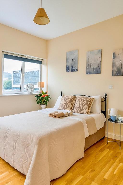 Heron Gate Comfort, Park and Pillow - Bed and Breakfast Cork