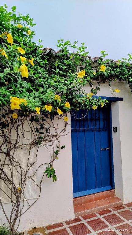 Casa colonial Centro Histórico - Puerta Azul - Bed and Breakfast Mompos