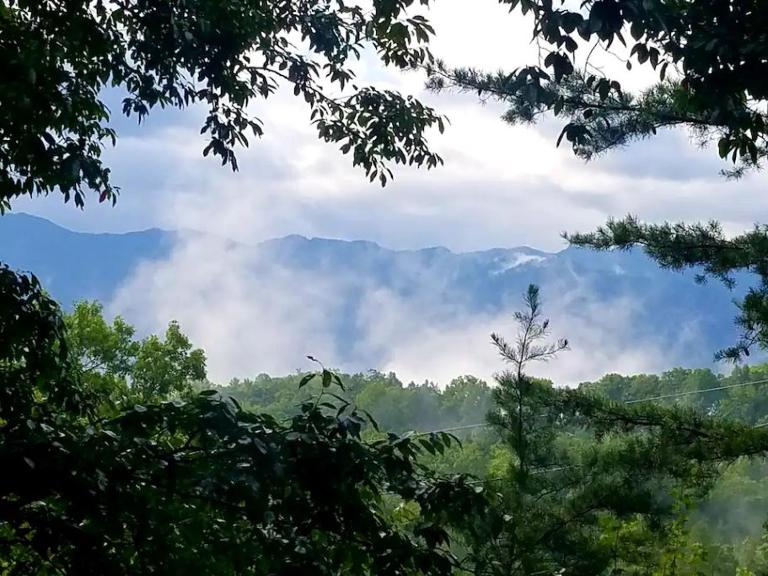 Witt's End - Bed and Breakfast Sevierville