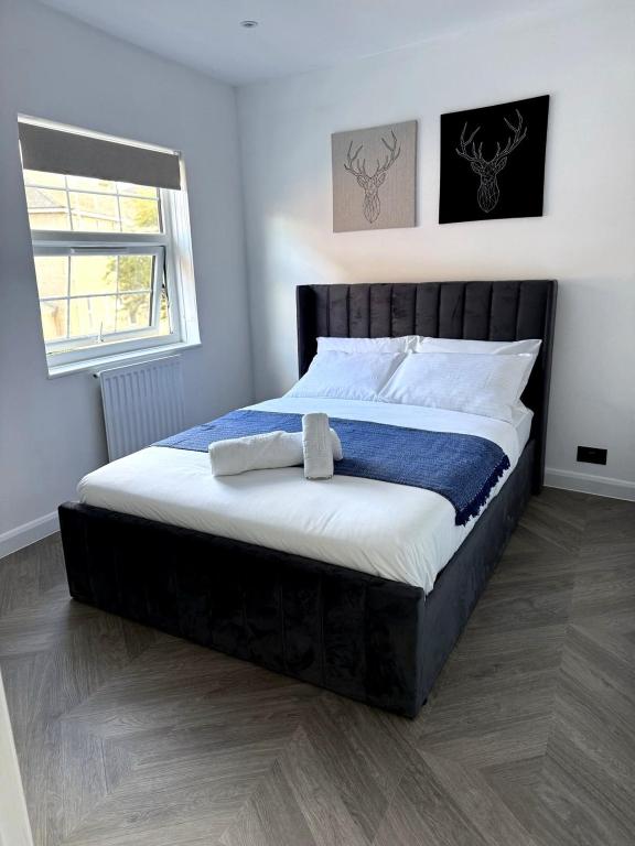 Cosy Central Colchester Home by Castle Park - B&B Colchester