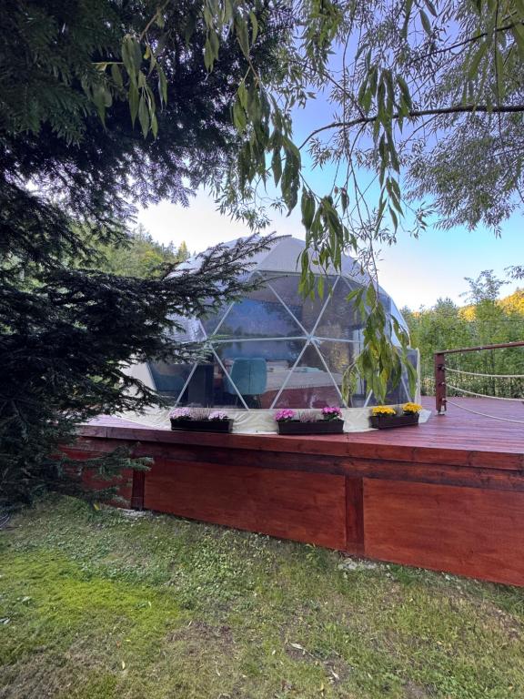 Glamping Lužec - B&B Nejdek