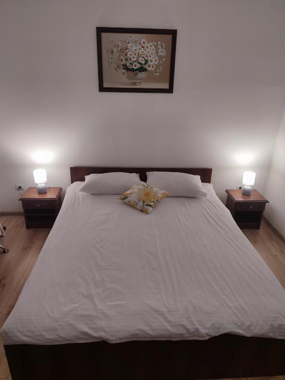 DOBA - Центр 1 кім 4 міс Завжди тепла ! - B&B Mukačeve