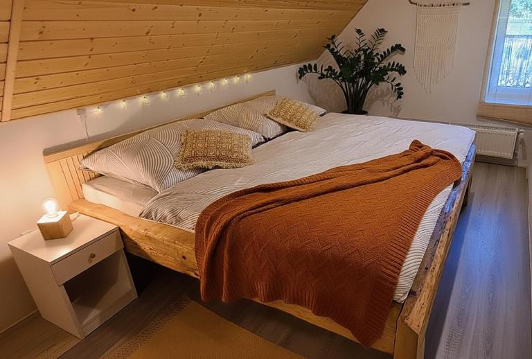 Apartmán u Ještěrky s finskou saunou v ceně - B&B Jeseník