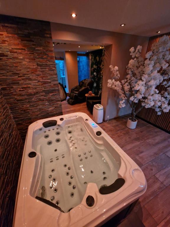 Ô Bonsaï Spa - B&B Calais