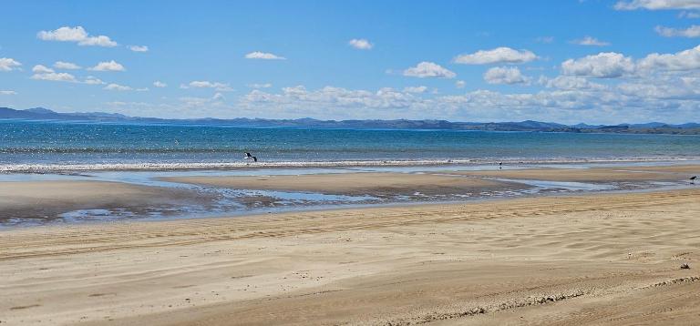 1 bedroom beachfront unit - B&B Karikari Peninsula