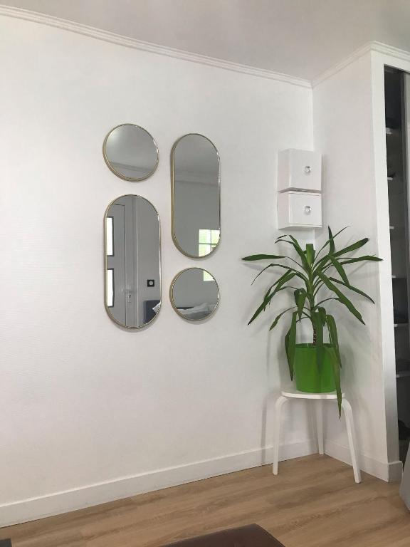 Charmant Studio indépendant - B&B Louvres