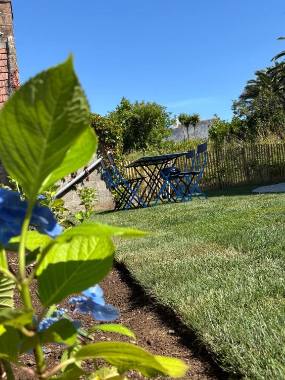 Maison refaite à neuf avec jacuzzi - LE HOMARD 13 - Ferienwohnung Perros-Guirec