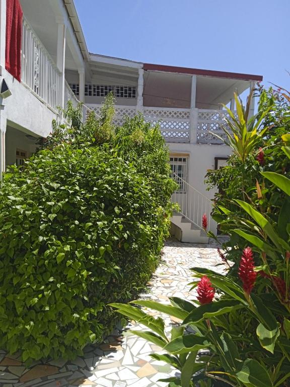 Les jardins de VALENTIN - Ferienwohnung Le Gosier