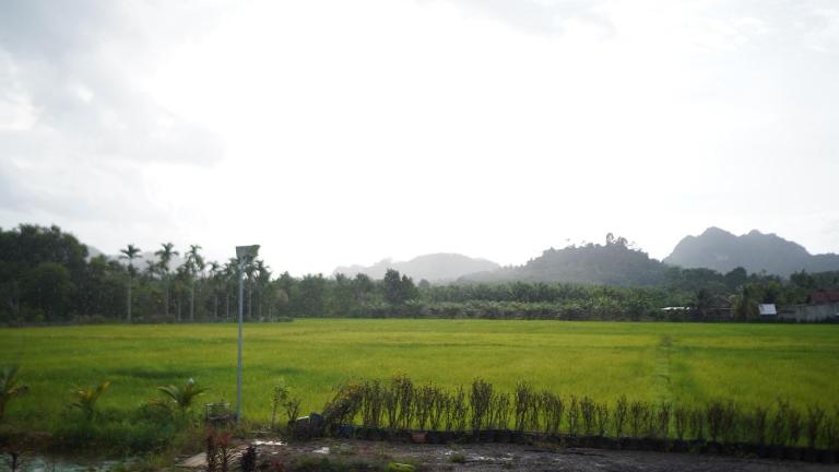 Rice Field Bungalows - B&B Ban Pak Nam
