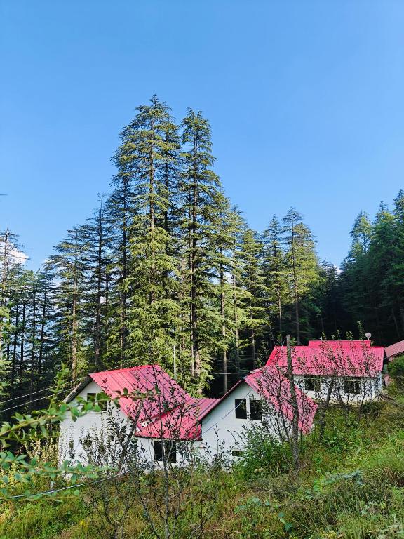 Mistymountaincottage - Chambres d'hôtes Shimla