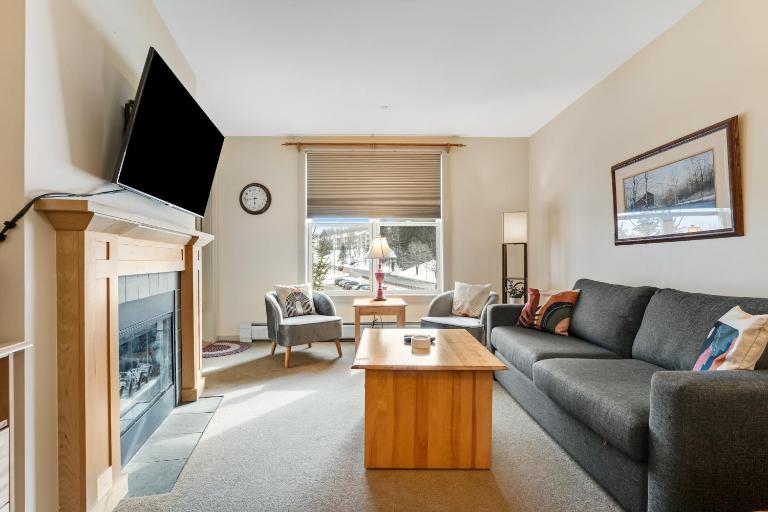 Long Trail House 368 - B&B Stratton
