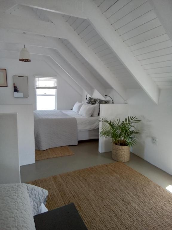 Spacious loft - Chambres d'hôtes Paternoster