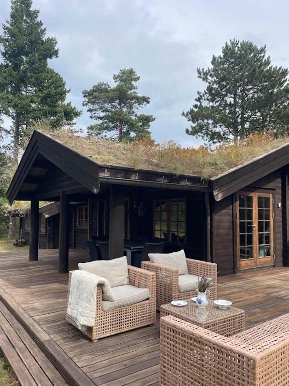 Norwegian Log Cabin Among Heather And Pine Trees - B&B Rørvig