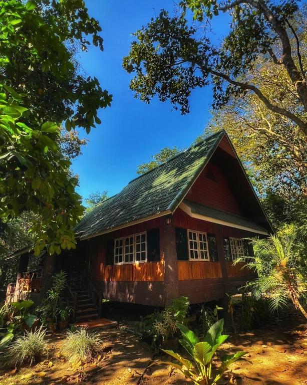 Private Forest Cottage Near Inthanon National Park - B&B Ban Nam Tok Mae Klang