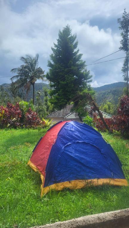 Nature kings Timber leaf Homestay - B&B Chikkamagaluru