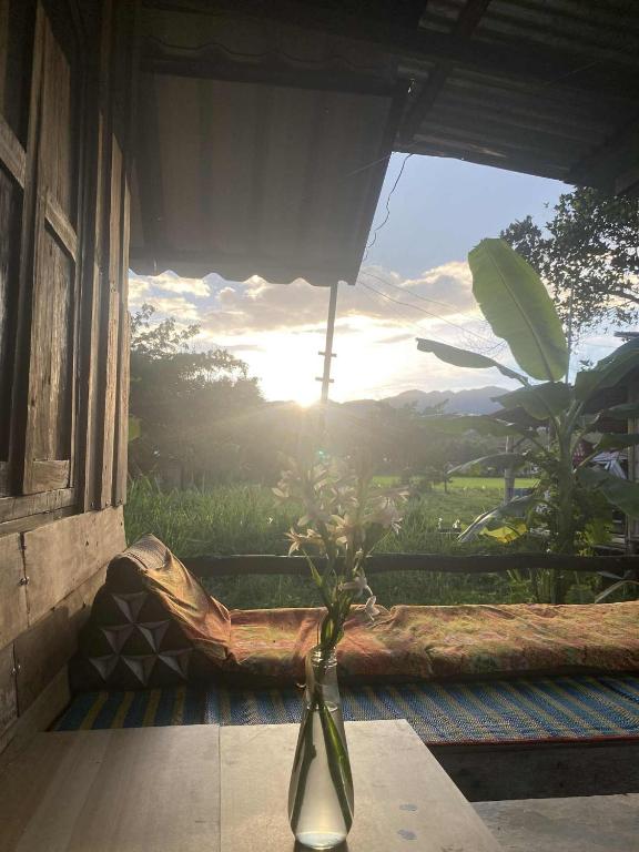 Banana garden - B&B Pai