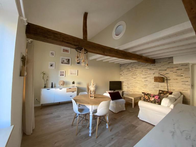 Charmant appartement centre ville de Castres - Bed and Breakfast Castres