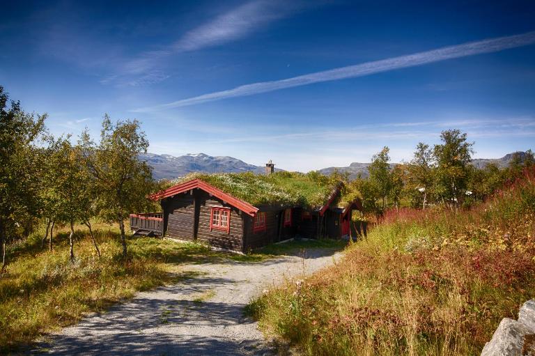 Timber Cabin With Mountain View - B&B Beitostølen