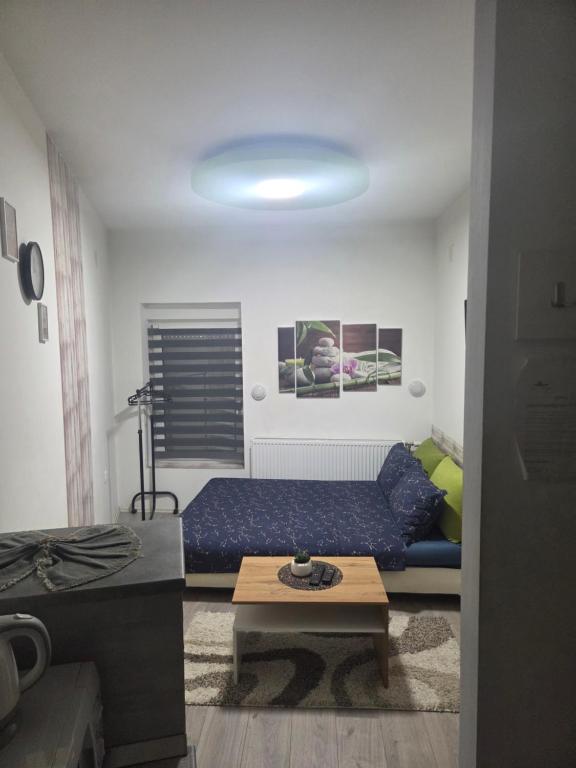 Zen apartman 1 - B&B Zrenjanin