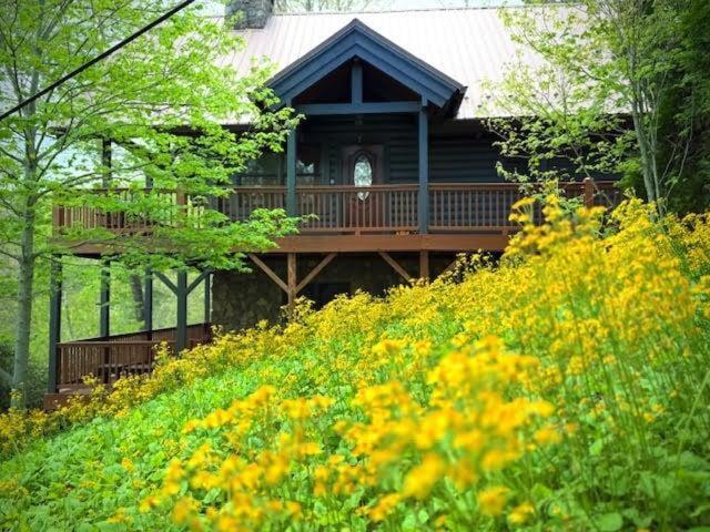 The Heartwood - B&B Linville