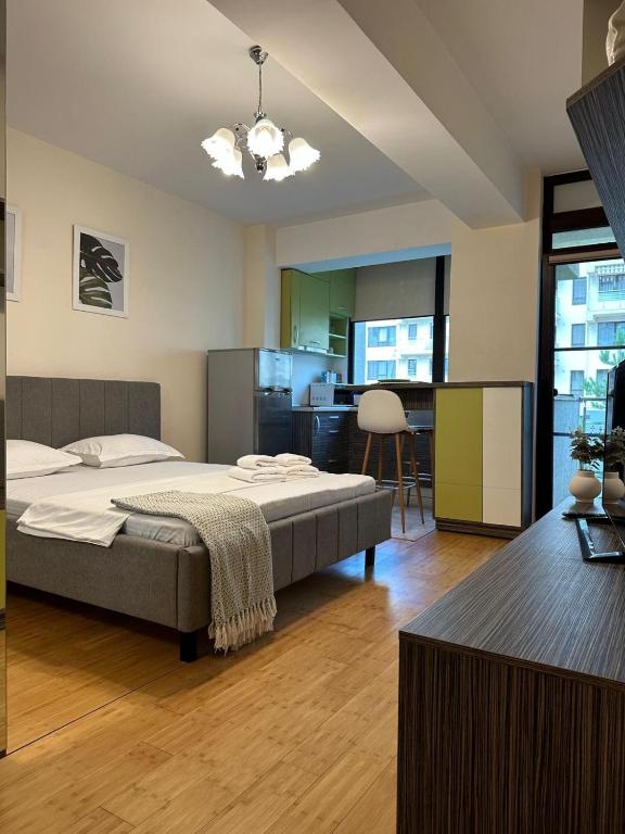 Copou Writers Nest Accommodation Hospitals Area - Ferienwohnung Iaşi