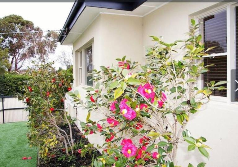 Elegant Balwyn Retreat - Spacious Family Home in Melbourne's Leafy East - B&B Ballan