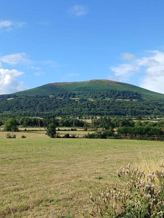 Cwtch on The meadow - B&B Abergavenny
