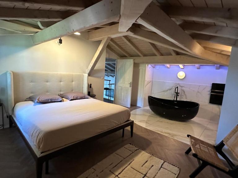 Magnifique villa tout confort à 20m de Toulouse - B&B Noé