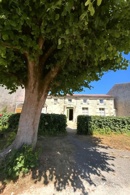 Gîte Le Logis du Tilleul - Bed and Breakfast Plassay