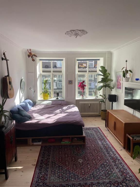 Stunning authentic renovated apt I Near Lakes & Metro - B&B Copenhague