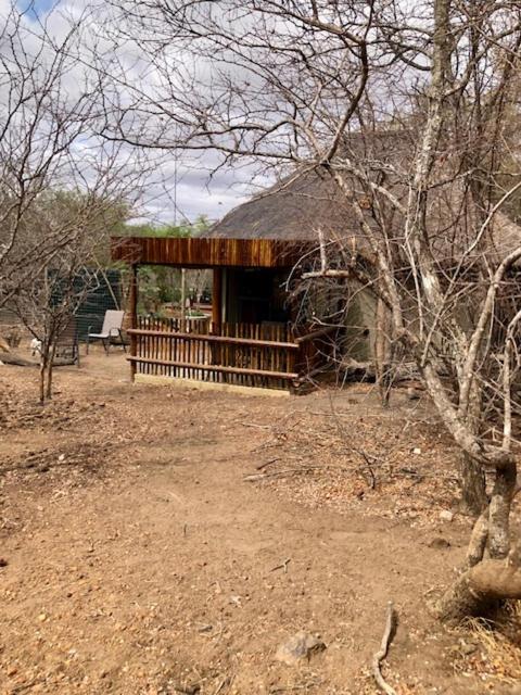 NIANI HYENA chalet - Chambres d'hôtes Hoedspruit