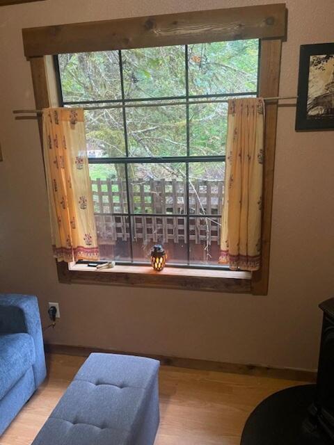 Mystic Ivy - B&B Marblemount