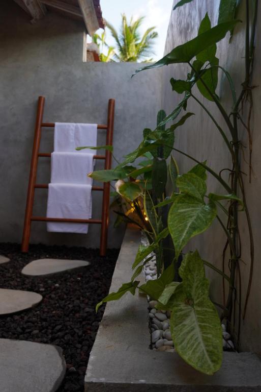 QINARA, Guesthouse Close to Diamond Beach, Nusa Penida - B&B Pelititkubu