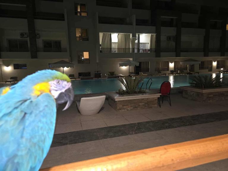 El Hambra Compound - B&B Hurghada