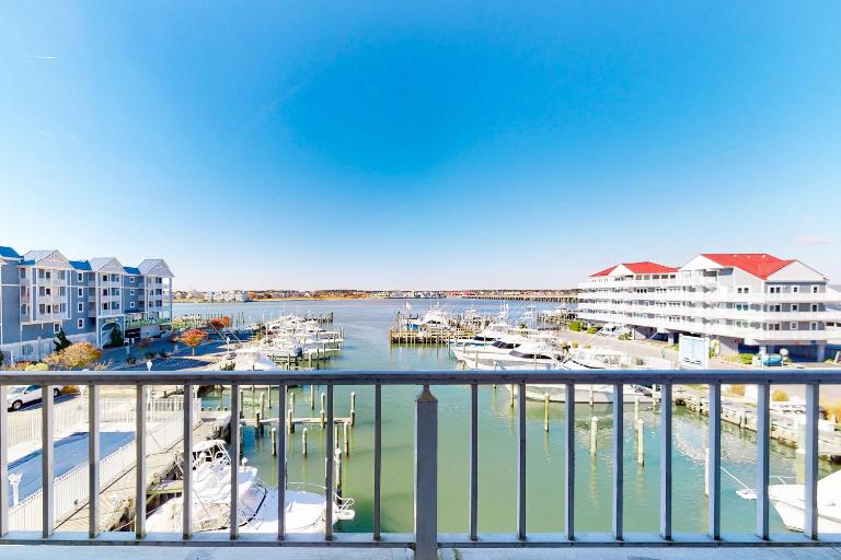 White Marlin 307B - B&B Ocean City