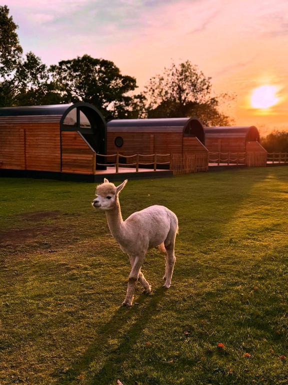 Luxury Lodge with Hot Tub next to Belfry Golf Course - Ferienwohnung Middleton