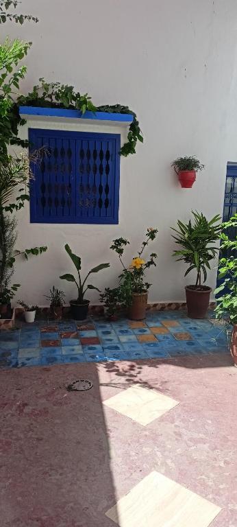 Dar Mobarak - B&B Oualidia