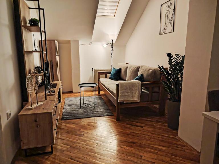Apartman Matica Srpska sa garazom - Chambres d'hôtes Novi Sad