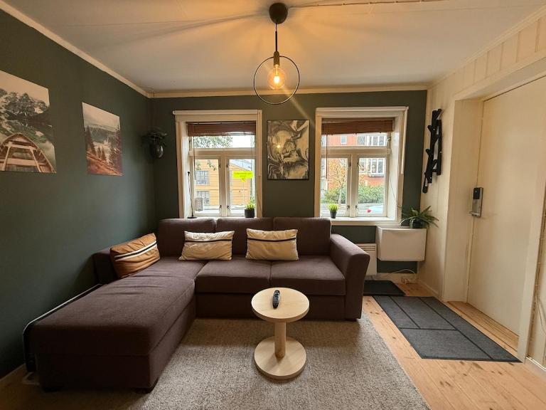Rustic Retreat Apartment, Central & free parking ! - B&B Trondheim