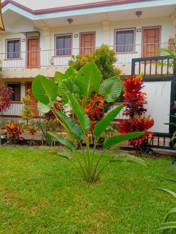 golden anchor lodge - B&B Coron