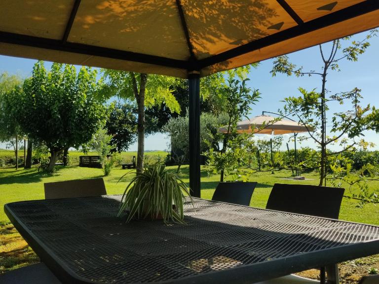 Villa Serena, secret garden - 7 min Noventa Outlet - B&B Santa Maria di Campagna